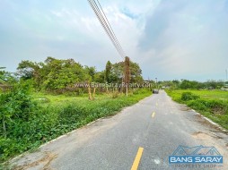 Land For Sale In Bang Saray Eastside (Soi Koonsuk Village) -  Land For Sale In Bang Saray, Na Jomtien