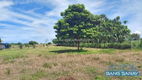 1 Rai 5 Sqw Of Land For Sale In Huay Yai -  Land For Sale In Huay Yai, Na Jomtien