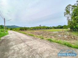 One Rai Of Land For Sale In Bang Saray Beachside  -  Land For Sale In Bang Saray, Na Jomtien