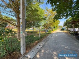 Beautiful Land For Sale – Bang Saray (Beachside) -  Land For Sale In Bang Saray, Na Jomtien